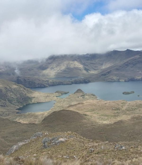 Diseño sin título (10)