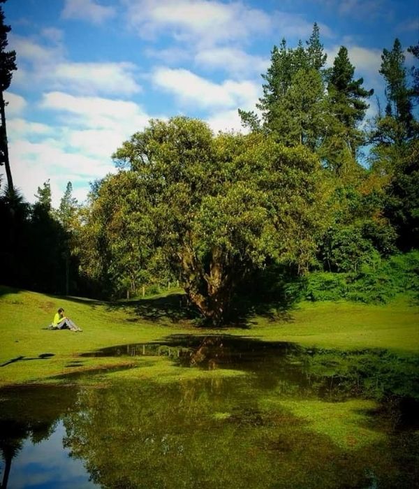 Diseño sin título (12)