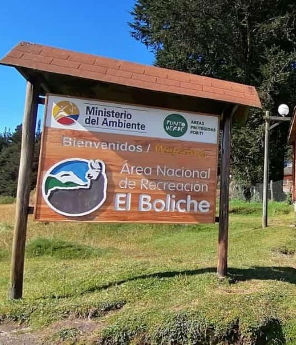 Diseño sin título (14)