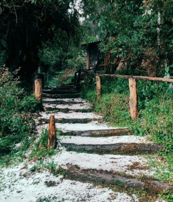 Diseño sin título (15)