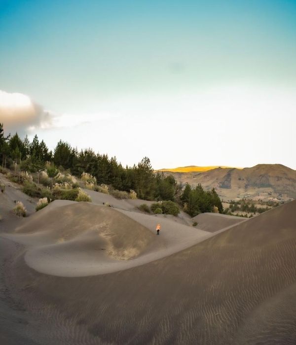 Diseño sin título (16)