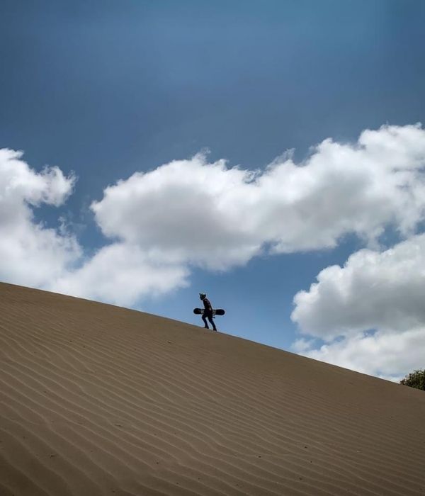 Diseño sin título (17)