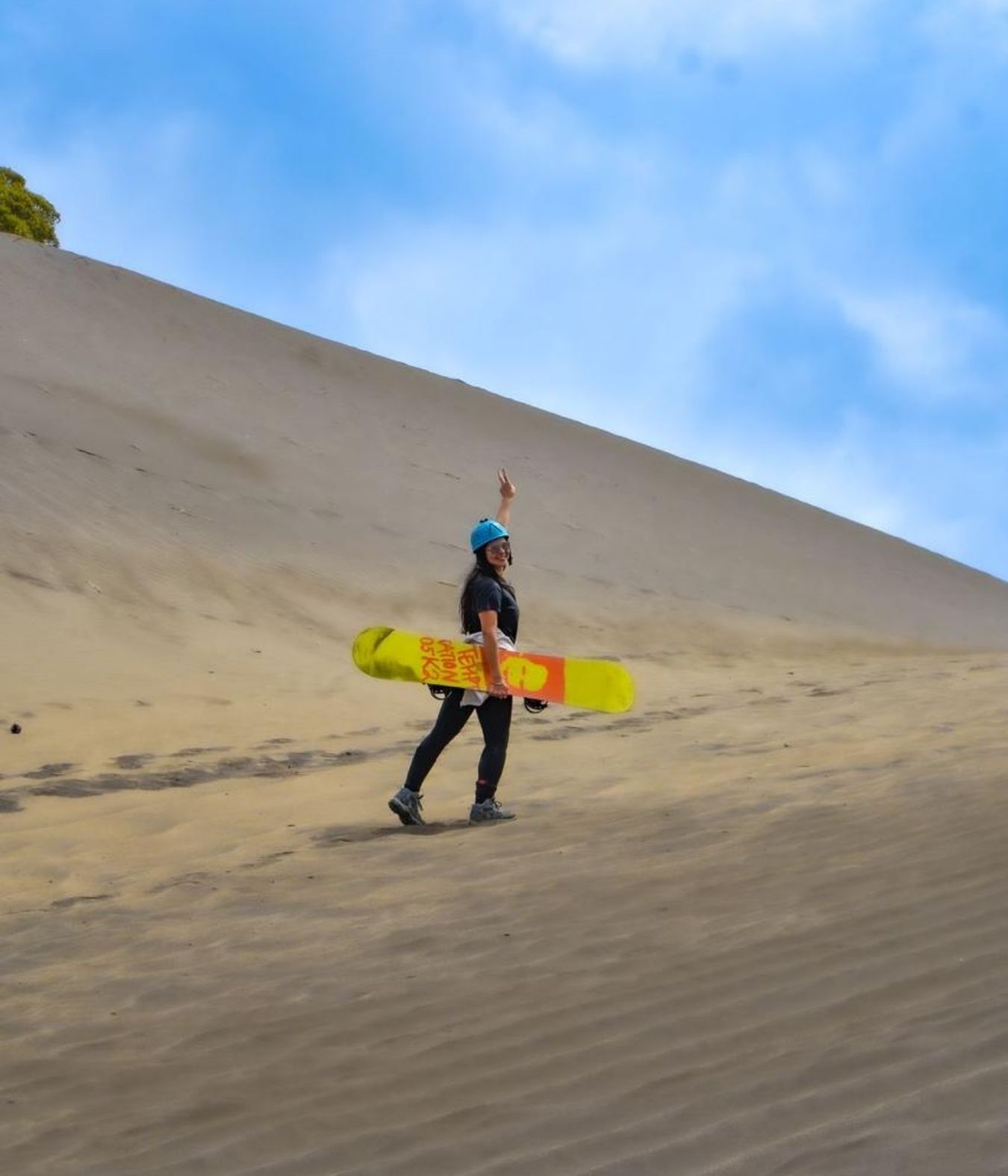 Diseño sin título (18)