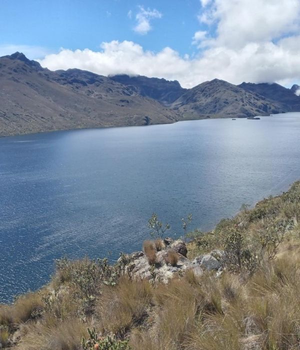 Diseño sin título (8)