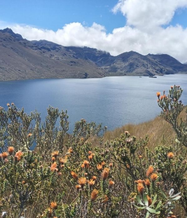 Diseño sin título (9)