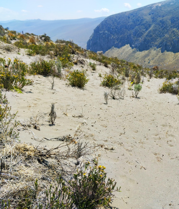 ¿Qué debo llevar (12)