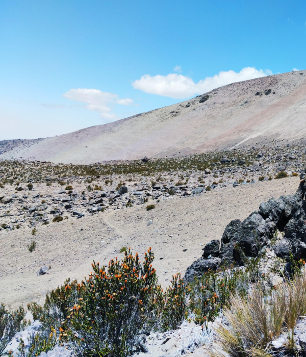 ¿Qué debo llevar (13)