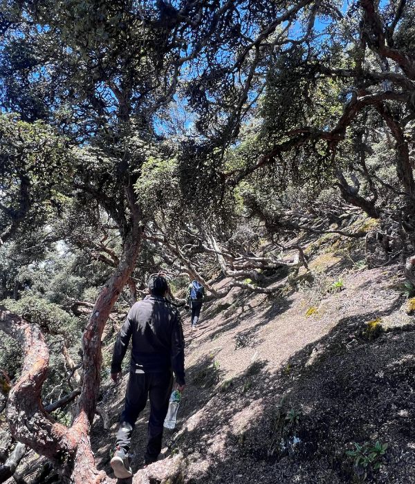 ¿Qué debo llevar (20)