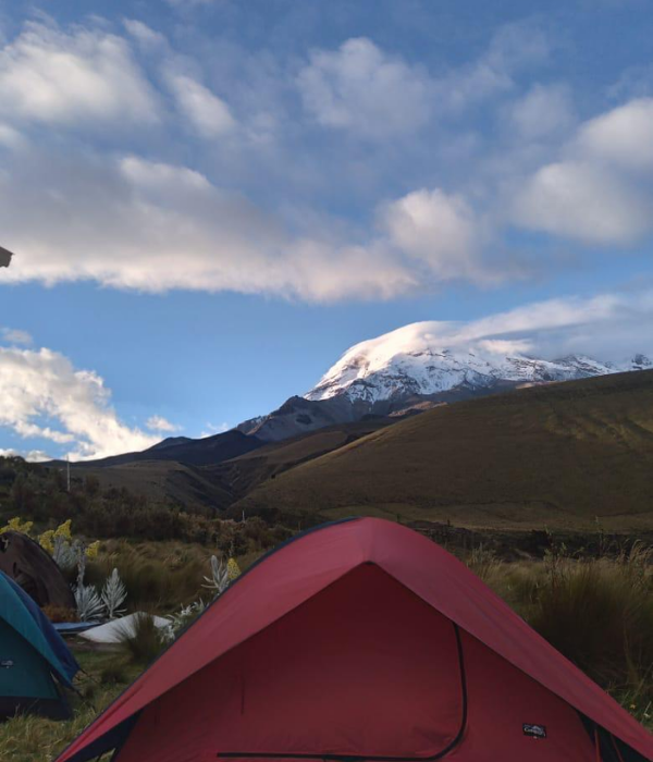 ¿Qué debo llevar (25)