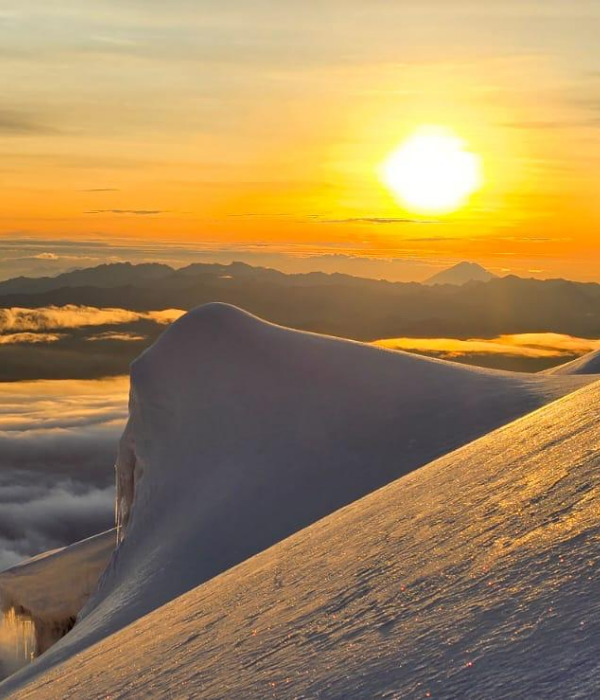 ¿Qué debo llevar (35)