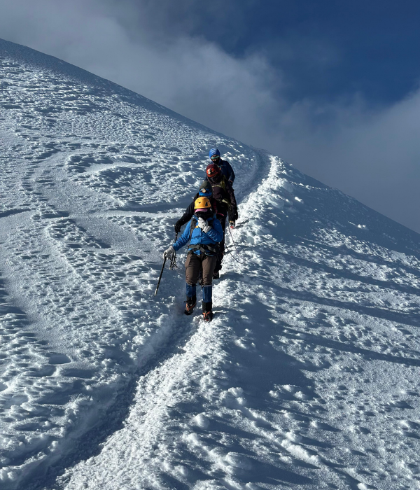 ¿Qué debo llevar (36)
