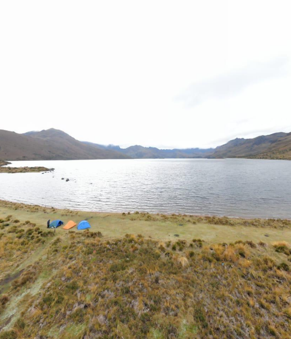 ¿Qué debo llevar (44)